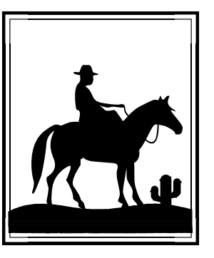 Image of a cowboy riding a horse